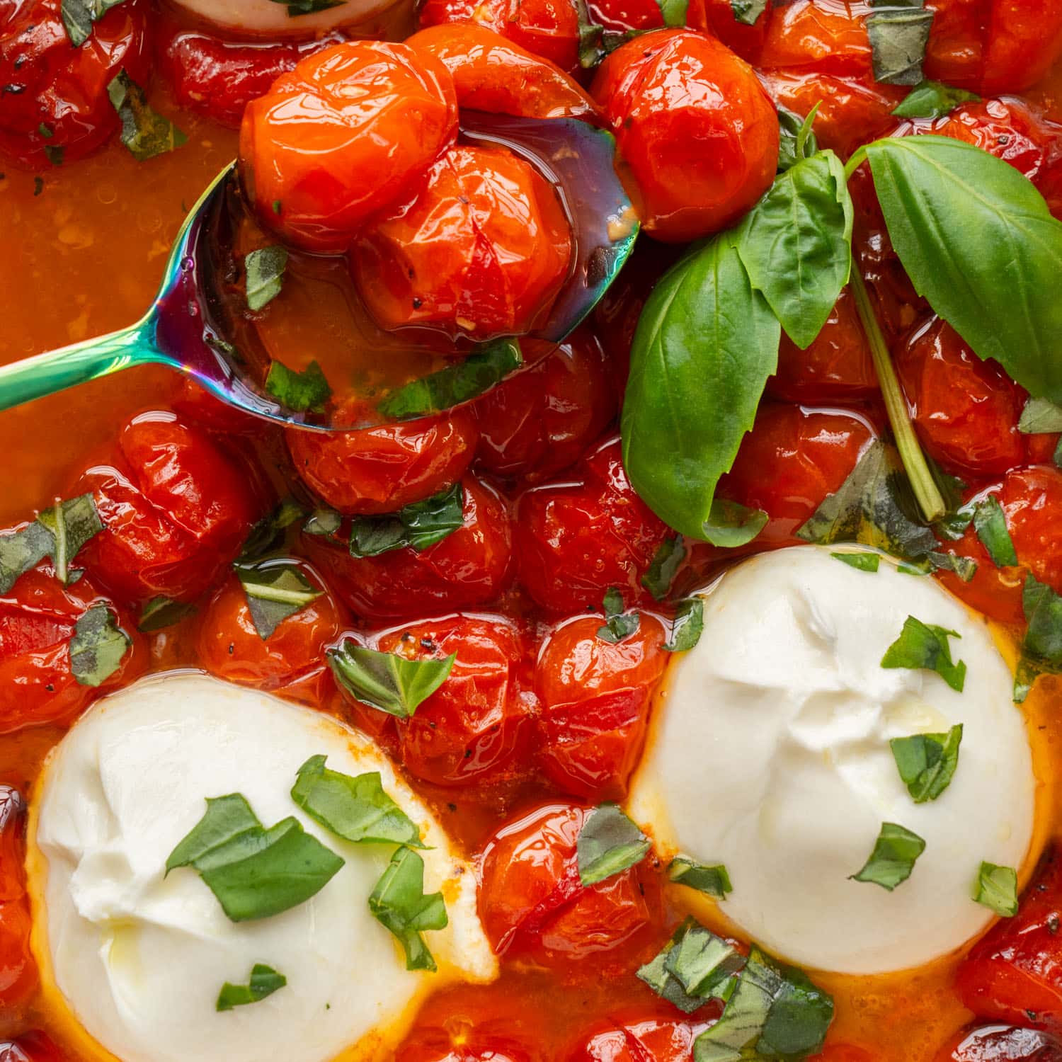 Roasted Cherry Tomatoes with Burrata: Dinner or Appetizer?